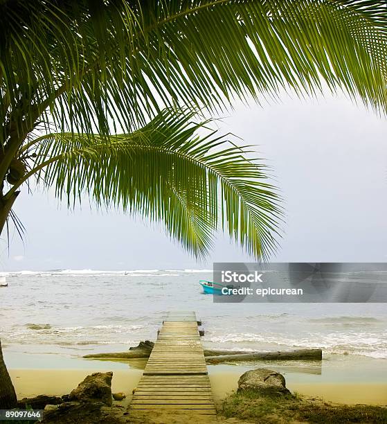 Palme Caraibi - Fotografie stock e altre immagini di Costa Rica - Costa Rica, Molo, Acqua