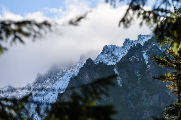 istock panoramic view of misty forest in mountain area with mountains hiding behind trees 890977366