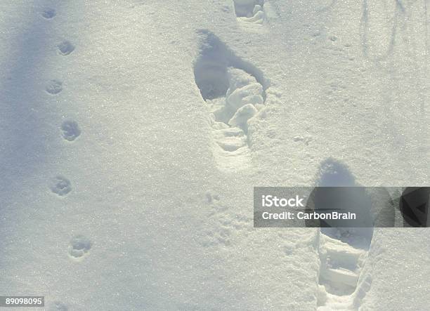 Footprints Na Neve - Fotografias de stock e mais imagens de Adulto - Adulto, Andar, Ao Ar Livre