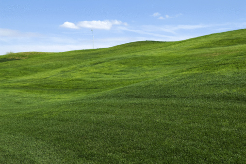 Rolling hills of green grass on lawn