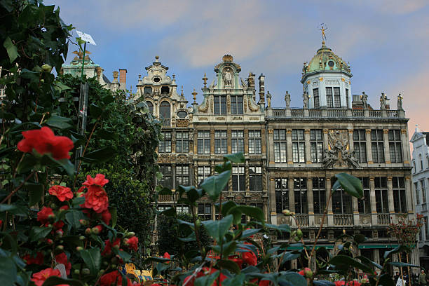 fleurs sur la grand-place, bruxelles - brussels belgium market flower market photos et images de collection