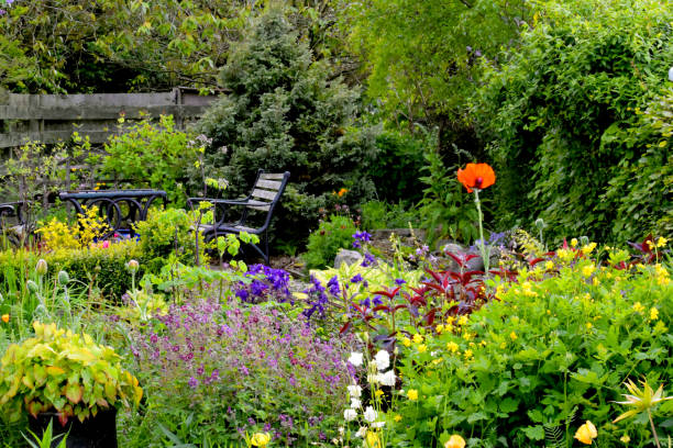 istock Scottish country garden in spring 890985032