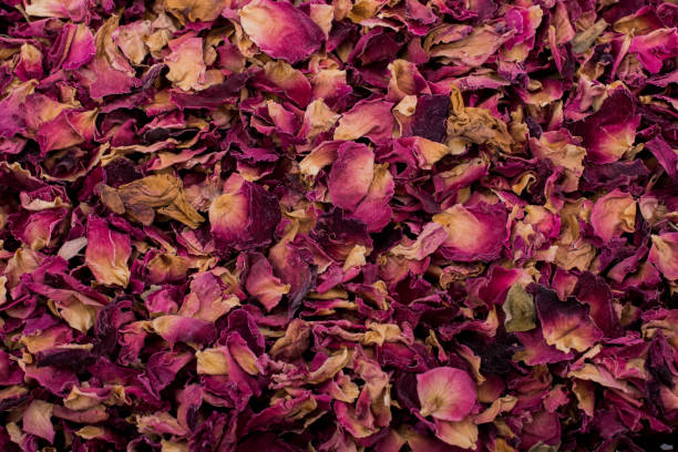 istock Background of dried  rose petals 890985830