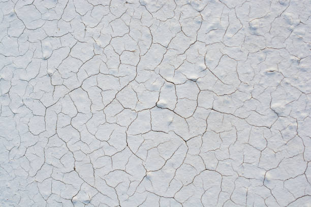 istock Brown color dry cracked muddy earth 890985846