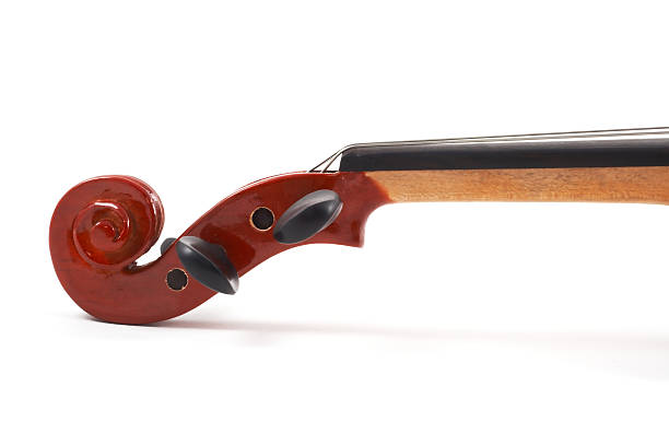 Violin lying down on white background, closeup of head stock photo