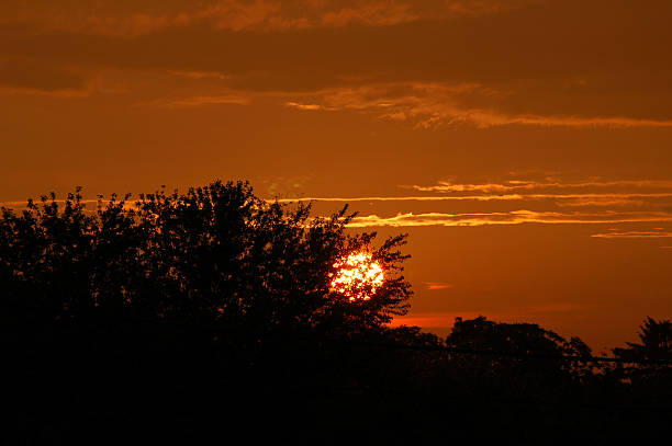 Free Stock Photo of Dramatic sunset over silhouetted treeline ...