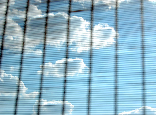 sky throughout rattan stock photo
