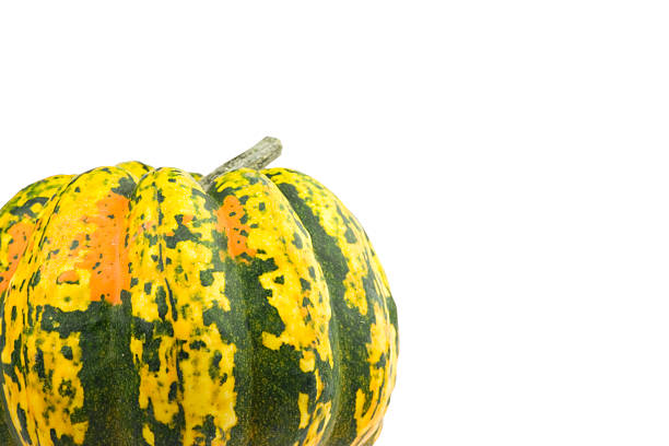 istock Coloful plumkin isolated on white with clipping path 89099052