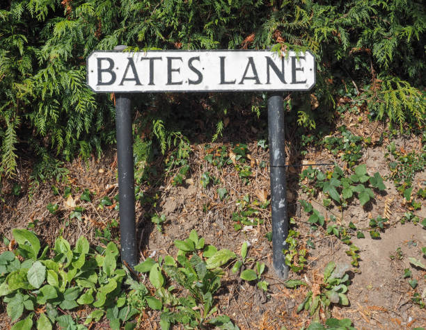 istock Bates Lane in Tanworth in Arden 890995446