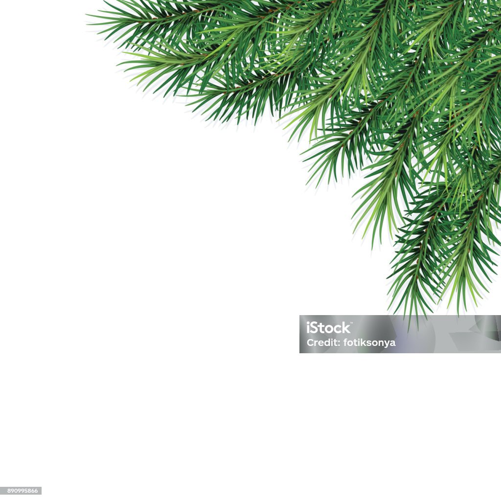 fir-tree branches- festive design. Close-up. Isolated. Christmas. New Year.   Vector Illustration .Eps 10. Pine Tree stock vector