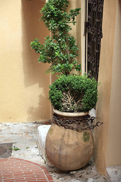 istock Provencal Pots, Village Doorway 89099872