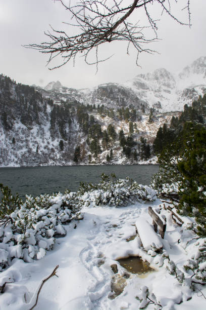 istock Lake in Winter Mountains in Austria 891003004