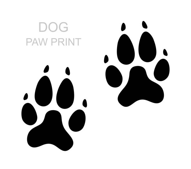 Dog Paw Black Silhouette Foot Print Animal Paw Isolated On White Background  Vector Illustration Stock Illustration - Download Image Now - iStock