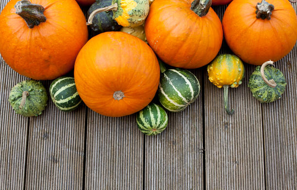 istock many pumpkins on a terrace 891004188