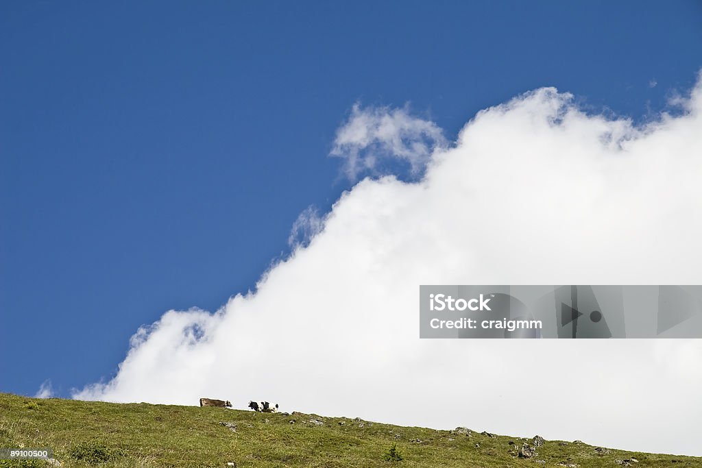 Cimeira de Vaca - Royalty-free Alpes Europeus Foto de stock