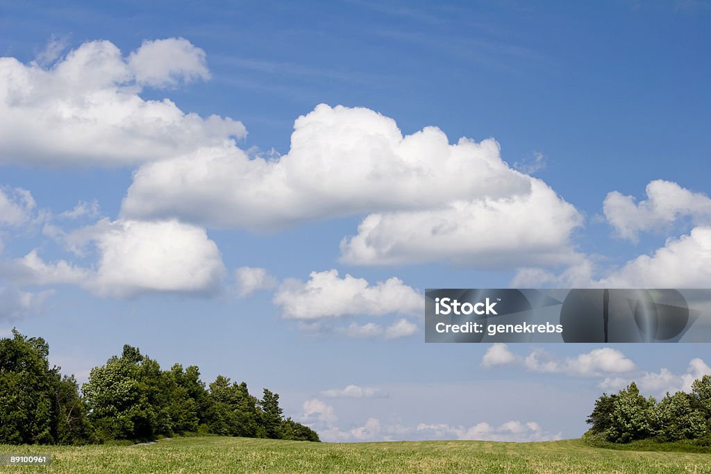 Bianco Panorama di nuvole sopra il Verde campo - Foto stock royalty-free di Albero