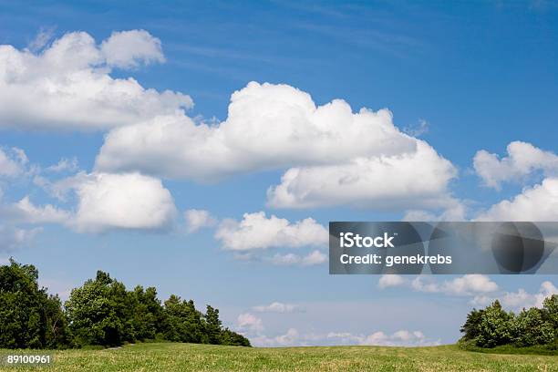 Bianco Panorama Di Nuvole Sopra Il Verde Campo - Fotografie stock e altre immagini di Albero - Albero, Ambientazione esterna, Bellezza naturale