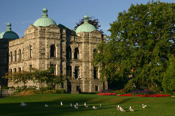 istock Pigeons at Parliament Building 89101927