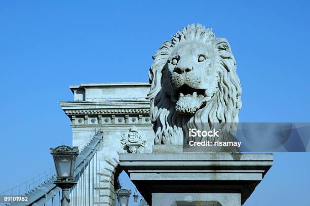 Kettenbrücke Budapest Ungarn Stockfoto und mehr Bilder von Brücke - Brücke, Budapest, Europa - Kontinent