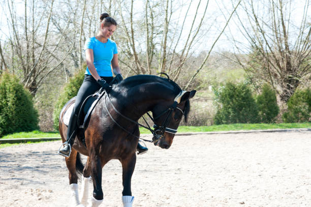 Training process. Young woman riding a horse on arena at equestrian school. Colored outdoors horizontal summertime image.
