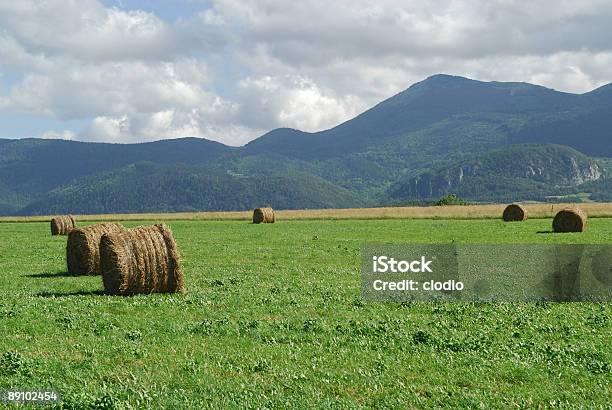 Photo libre de droit de Plateau De Sault Paysage Dété banque d'images et plus d'images libres de droit de Agriculture - Agriculture, Botte de paille, Champ