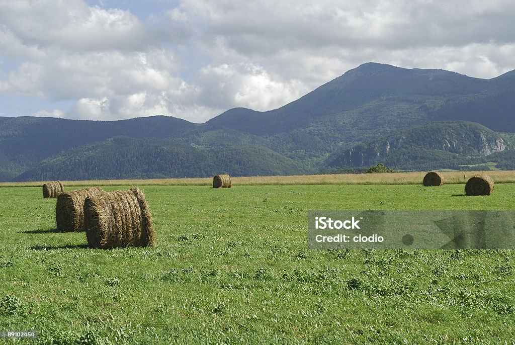 Altopiano di Sault (Pirenei, Francia) in estate-Paesaggio - Foto stock royalty-free di Agricoltura