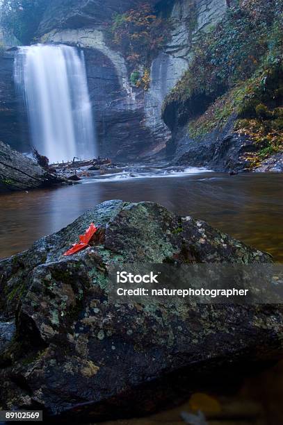 Looking Glass Falls Early Morning Stock Photo - Download Image Now - Autumn, Boulder - Rock, Color Image