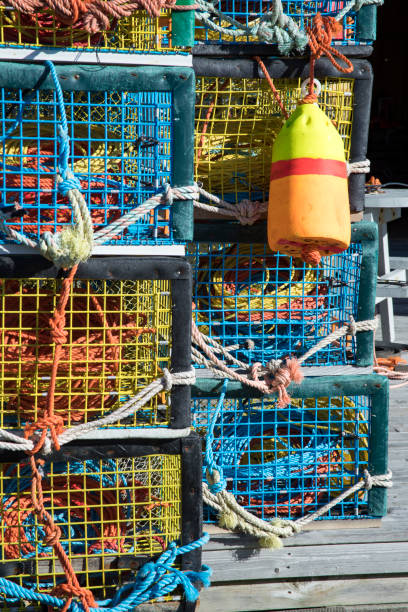 istock Colorful lobster traps 891030768