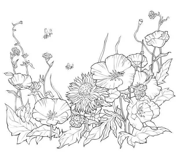 Vector illustration of Coloring book with hand drawn flowers. Black and white illustration.