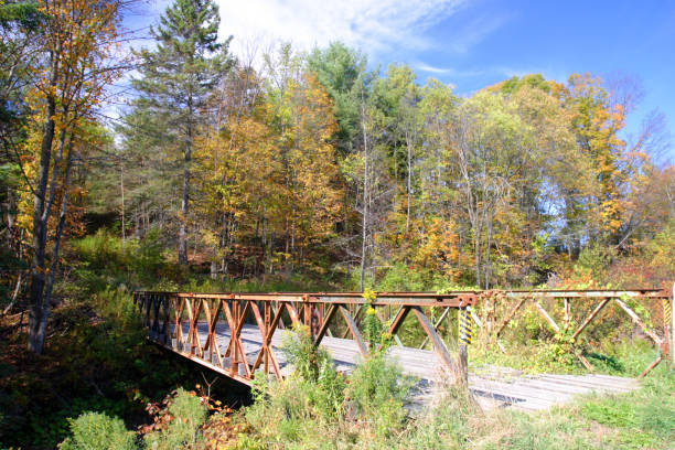 istock Vermont, USA 891043860