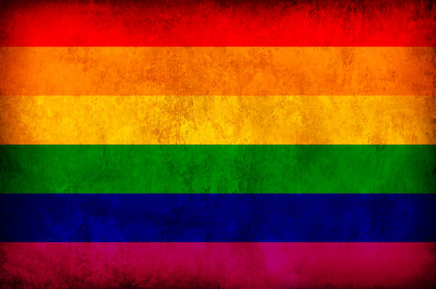 istock Gay Grunge Flag 891049204