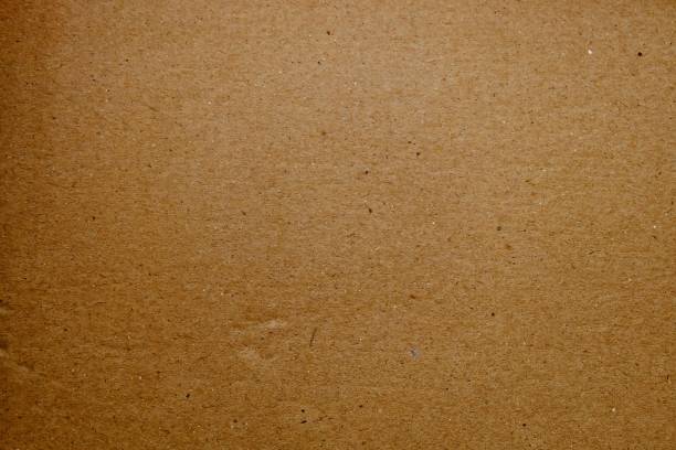 istock Horizontal Texture of Brown Corrugated Cardboard Background 891051150