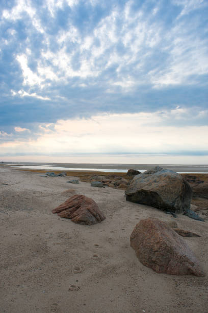 paisaje de costa del este - cape cod new england sea marsh fotografías e imágenes de stock