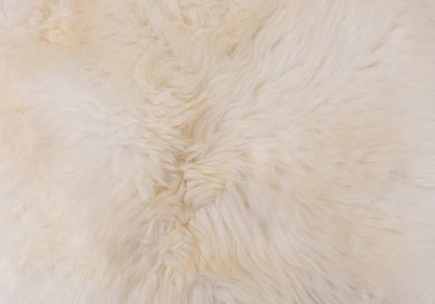 istock Detail of A Fluffy Wool Texture Background 891057550
