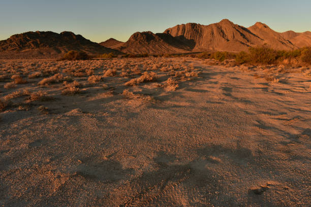 istock desert dawn landscape Pahrump, Nevada, USA 891066640