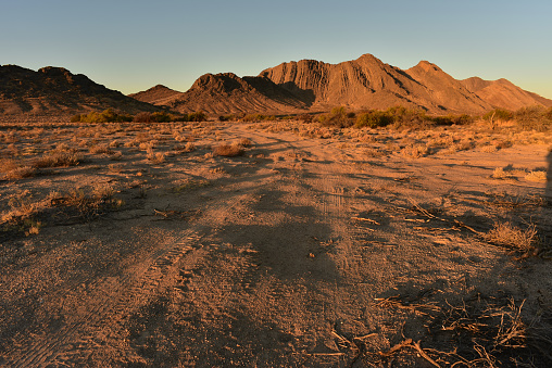 Dawn landscape in the Mojave desert on the outskirts of Pahrump, Nevada