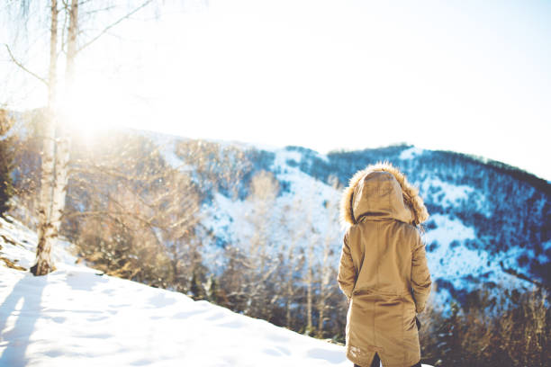 istock View of winter landscape 891078434