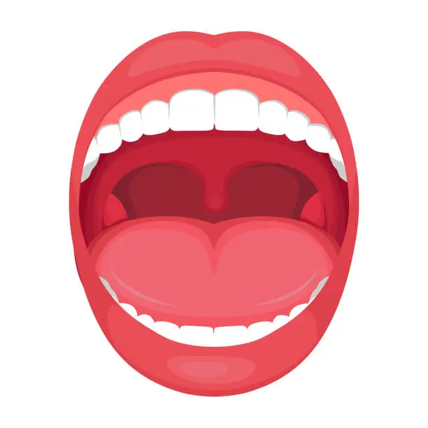 Vector illustration of anatomy human open  mouth