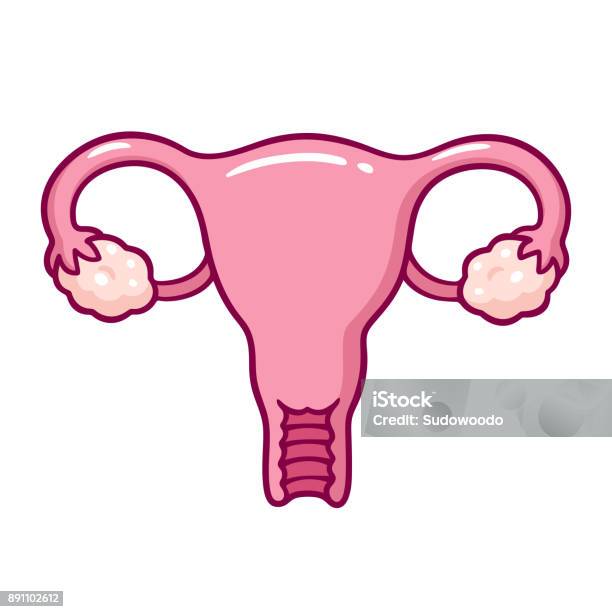 Cartoon Uterus Drawing Stock Illustration - Download Image Now - Vagina, Uterus, Menses