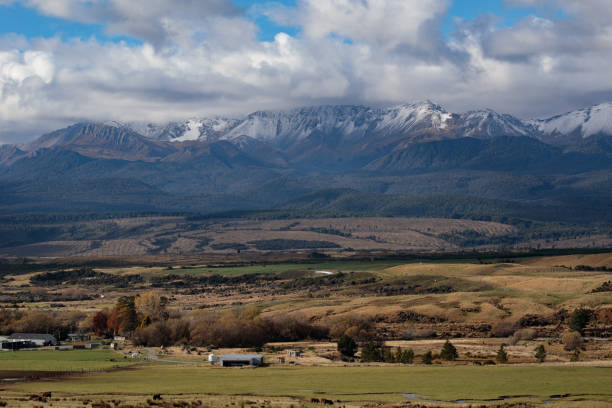 farms at te anau - te anau imagens e fotografias de stock