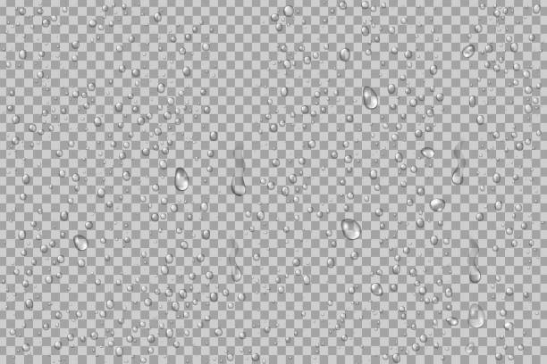 ilustrações, clipart, desenhos animados e ícones de conjunto de vetor realista isolado das gotas de água sobre o fundo transparente. - liquid drop raindrop condensation