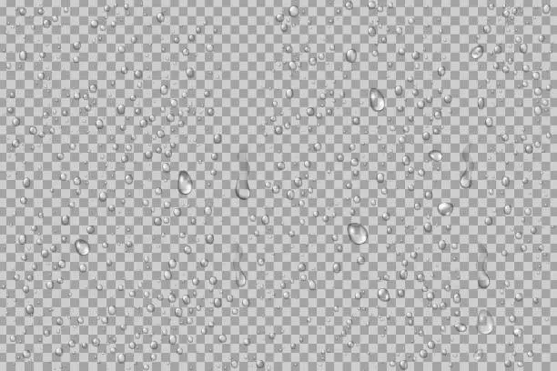 Vector illustration of Vector set of realistic isolated water droplets on the transparent background.