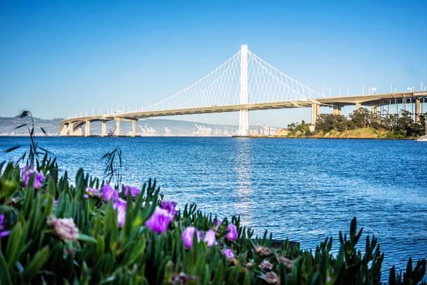 boat marina near new oakland bay bridge leading to oakland california boat marina near new oakland bay bridge leading to oakland california bay bridge stock pictures, royalty-free photos & images