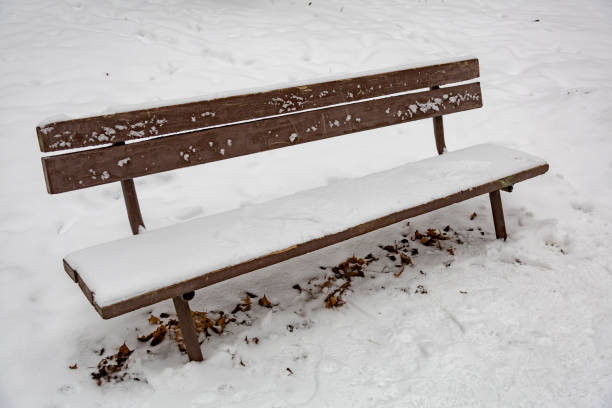 istock Wooden bench in the snow 891126668