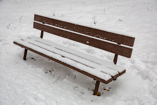 istock Wooden bench in the snow 891126674