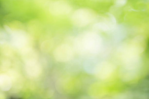 istock abstract blur green color for background,blurred and defocused effect spring concept for design 891131292