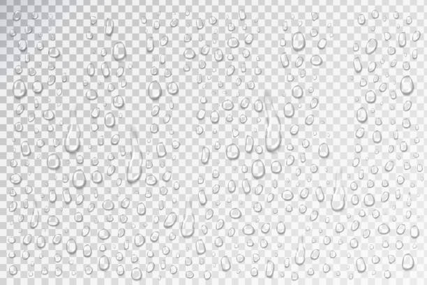 ilustraciones, imágenes clip art, dibujos animados e iconos de stock de conjunto de vectores realistas aisladas de gotitas de agua para la decoración y revestimiento. - condensation