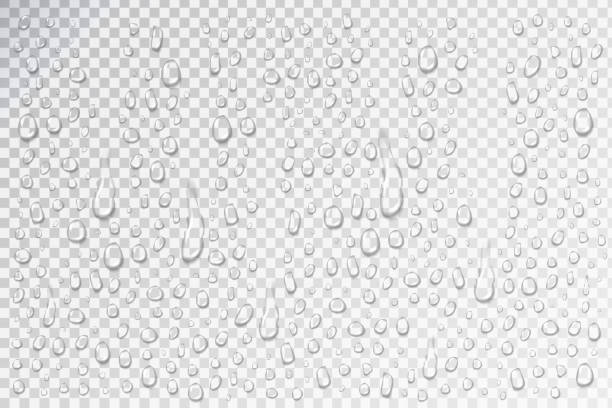illustrations, cliparts, dessins animés et icônes de set vector réaliste isolés de gouttelettes d’eau pour décoration et revêtement. - drop water condensation glass