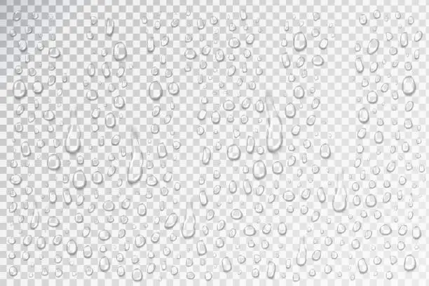 Vector illustration of Vector set of realistic isolated water droplets for decoration and covering.