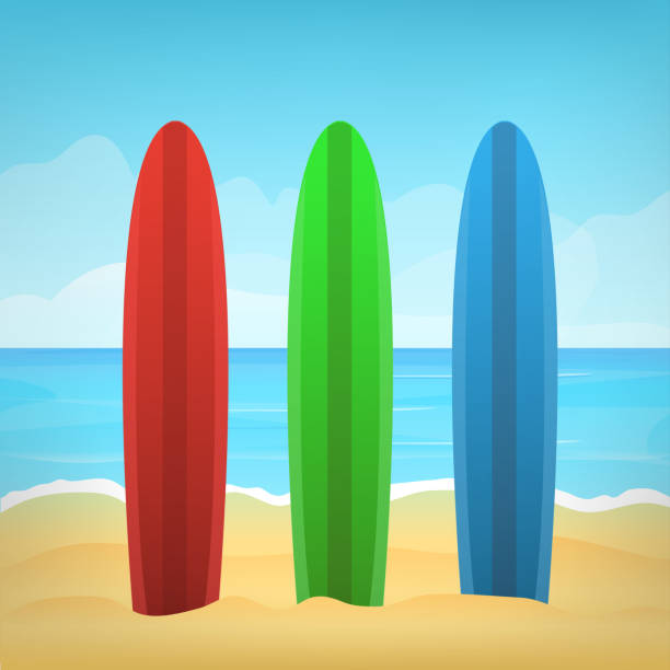 istock Vector illustration of surfboards and summer beach for decoration and covering. Concept of surfing and vacation. 891150136